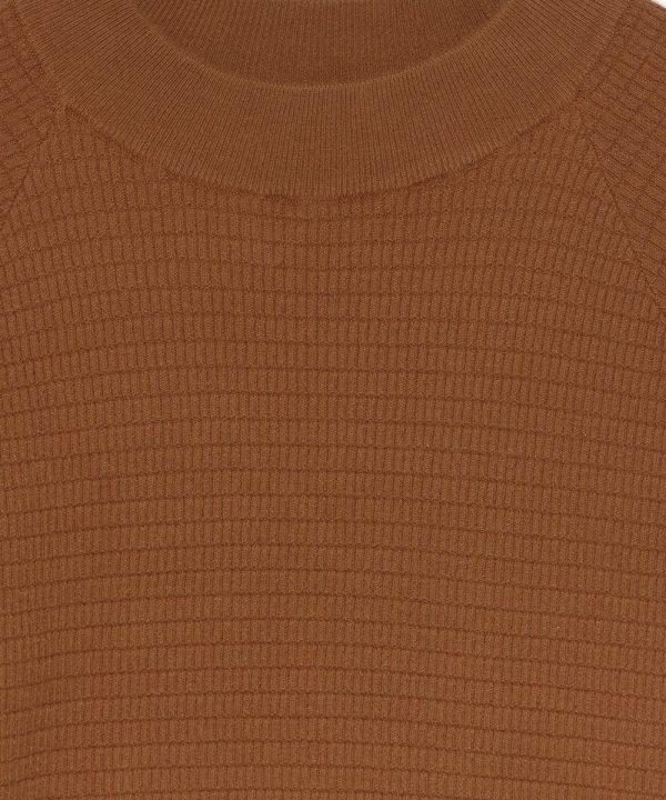 S14 K01au20 Camel 2