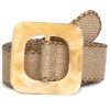 S61 A01SP21 CAMEL