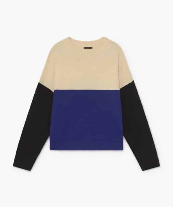 jersey skatïe tricolor