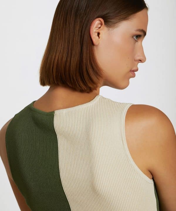 Top skatie vsicosa canale bicolor cut out S56K25 FERN 4 e1712841373784